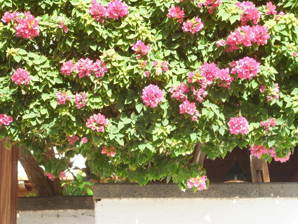 Casa La Tahonilla Apartment Tias Exterior photo